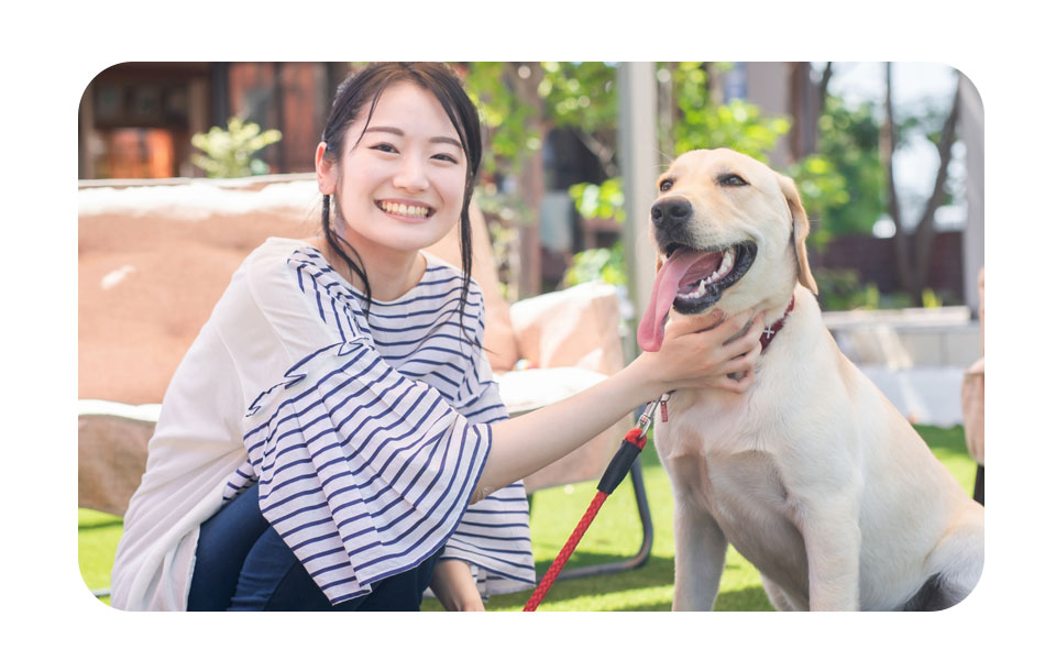 動物介在療法(AAT)